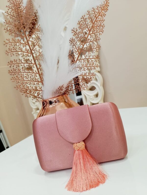 Bolso fiesta cartera
